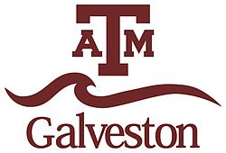 Texas A&M University at Galveston Logo
