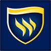 Texas Wesleyan University Logo