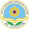 Health Sciences University of Mongolia Logo