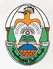 Saba University Logo