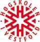 Vestfold University College Logo Vestfold University College Logo