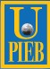 University for Strategic Research in Bolivia Logo