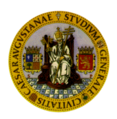 University of Zaragoza Logo
