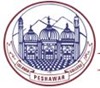 Islamia College University Logo