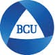 Baekseok Culture University Logo Baekseok Culture University Logo