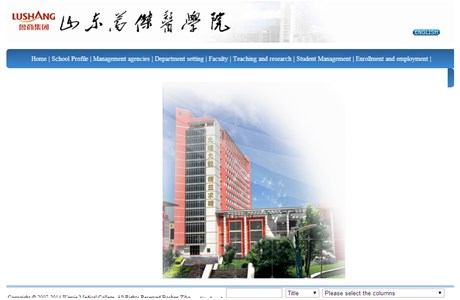 Shandong Wanjie Medical University Website