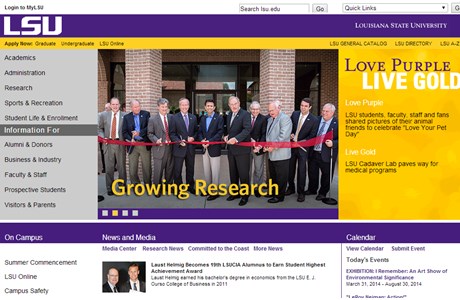 Louisiana State University Website