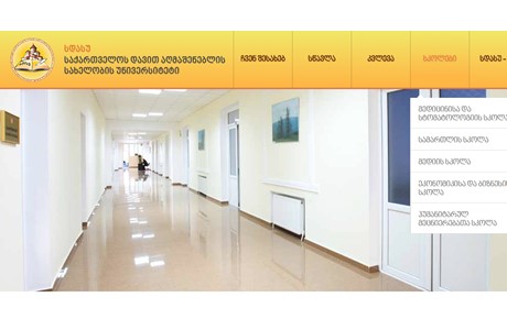 David Aghmashenebeli University of Georgia Website