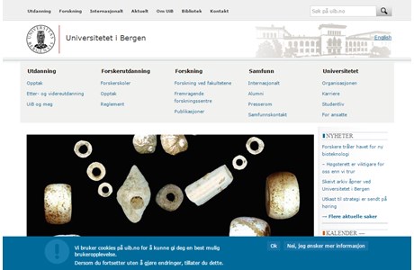 University of Bergen Website